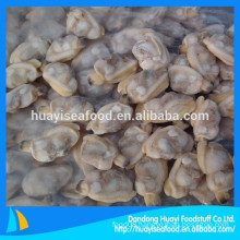 seafood exporter supply large quantity frozen short necked clam